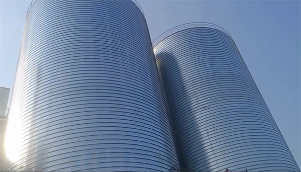 霸州2座混凝土高架卷板仓